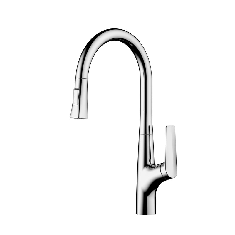 Pull-out kitchen mixer tap - Ofek model